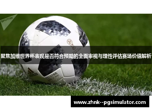 聚焦加维世界杯表现是否符合预期的全面审视与理性评估赛场价值解析